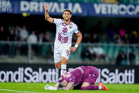 Hellas Verona v Torino FC - Serie A Enilive