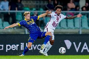 Hellas Verona v Torino FC - Serie A Enilive