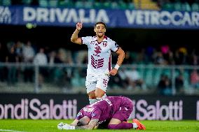 Hellas Verona v Torino FC - Serie A Enilive