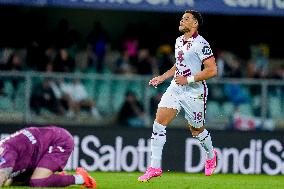 Hellas Verona v Torino FC - Serie A Enilive