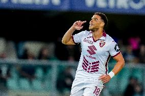 Hellas Verona v Torino FC - Serie A Enilive