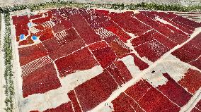 Drying Pepper in Xinjiang