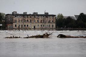 The Flooded City Of Brzeg