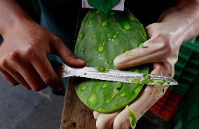 Nopal Cactus De-stalking And Chopping Contest In Mexico