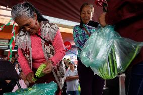 Nopal Cactus De-stalking And Chopping Contest In Mexico