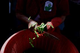 Nopal Cactus De-stalking And Chopping Contest In Mexico