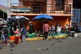 Nopal Cactus De-stalking And Chopping Contest In Mexico