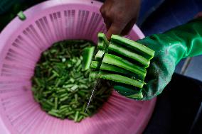 Nopal Cactus De-stalking And Chopping Contest In Mexico