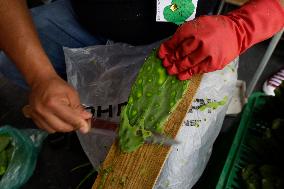 Nopal Cactus De-stalking And Chopping Contest In Mexico