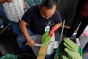 Nopal Cactus De-stalking And Chopping Contest In Mexico