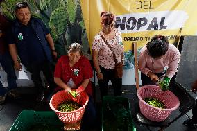 Nopal Cactus De-stalking And Chopping Contest In Mexico