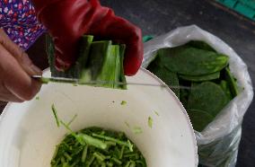 Nopal Cactus De-stalking And Chopping Contest In Mexico