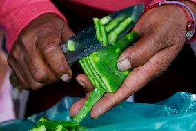 Nopal Cactus De-stalking And Chopping Contest In Mexico