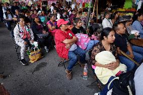 Nopal Cactus De-stalking And Chopping Contest In Mexico