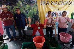 Nopal Cactus De-stalking And Chopping Contest In Mexico