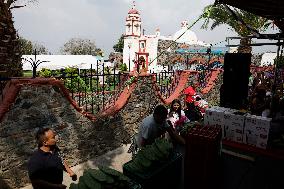 Nopal Cactus De-stalking And Chopping Contest In Mexico