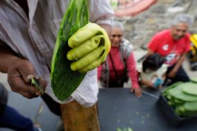 Nopal Cactus De-stalking And Chopping Contest In Mexico