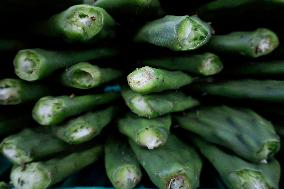 Nopal Cactus De-stalking And Chopping Contest In Mexico