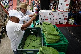 Nopal Cactus De-stalking And Chopping Contest In Mexico