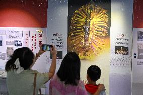 The First Sign Language Museum in China