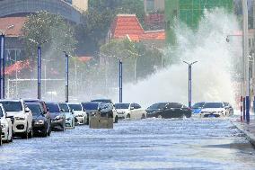 Typhoon Pulasan Hit Yantai