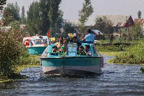 Home Voting Amid Ongoing Assembly Elections In Kashmir