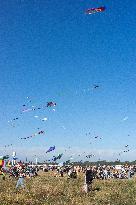 Kite Festival At Tempelhofer Feld In Berlin