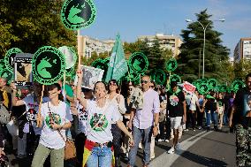 Protest In Spain