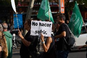 Protest In Spain