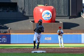 MLB Philadelphia Phillies Vs. New York Mets