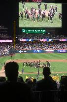 Record Crowd Goes Bananas for Banana Ball in Philadelphia, PA