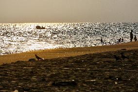 Daily Life Along Paruthiyoor Beach