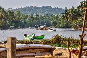 Daily Life Along Paruthiyoor Beach