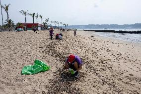 Beach Clean-up Day In Lisbon