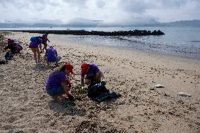 Beach Clean-up Day In Lisbon