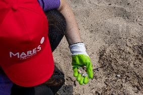 Beach Clean-up Day In Lisbon