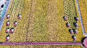 Farmers' Harvest Festival - China