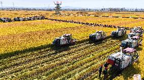 Farmers' Harvest Festival - China