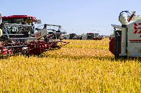 Farmers' Harvest Festival - China