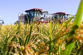 Farmers' Harvest Festival - China