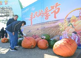 Farmers' Harvest Festival - China