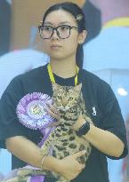 2024 Hangzhou International Purebred Cat Tasting Competition