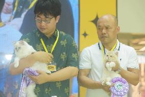 2024 Hangzhou International Purebred Cat Tasting Competition