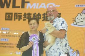 2024 Hangzhou International Purebred Cat Tasting Competition