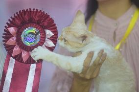 2024 Hangzhou International Purebred Cat Tasting Competition