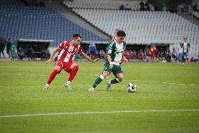 Panathinaikos v Panserraikos