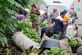 Daily Life Along Ife-Ibadan Expressway