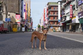 Presidential Election In Sri Lanka