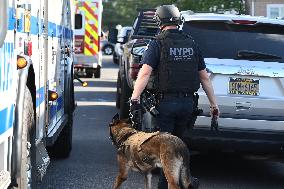 Six People Said To Be Migrants Slashed At A Residence On Fane Court And Everett Avenue In Brooklyn New York