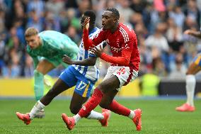 Brighton & Hove Albion FC v Nottingham Forest FC - Premier League